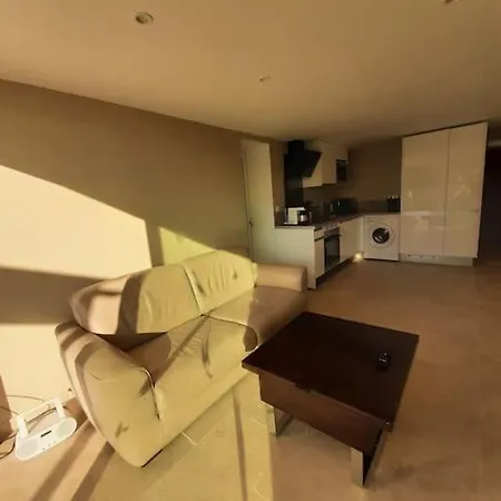 公寓 T3 Vue Avec Grande Terrasse Et Parking 雷以桑布尔